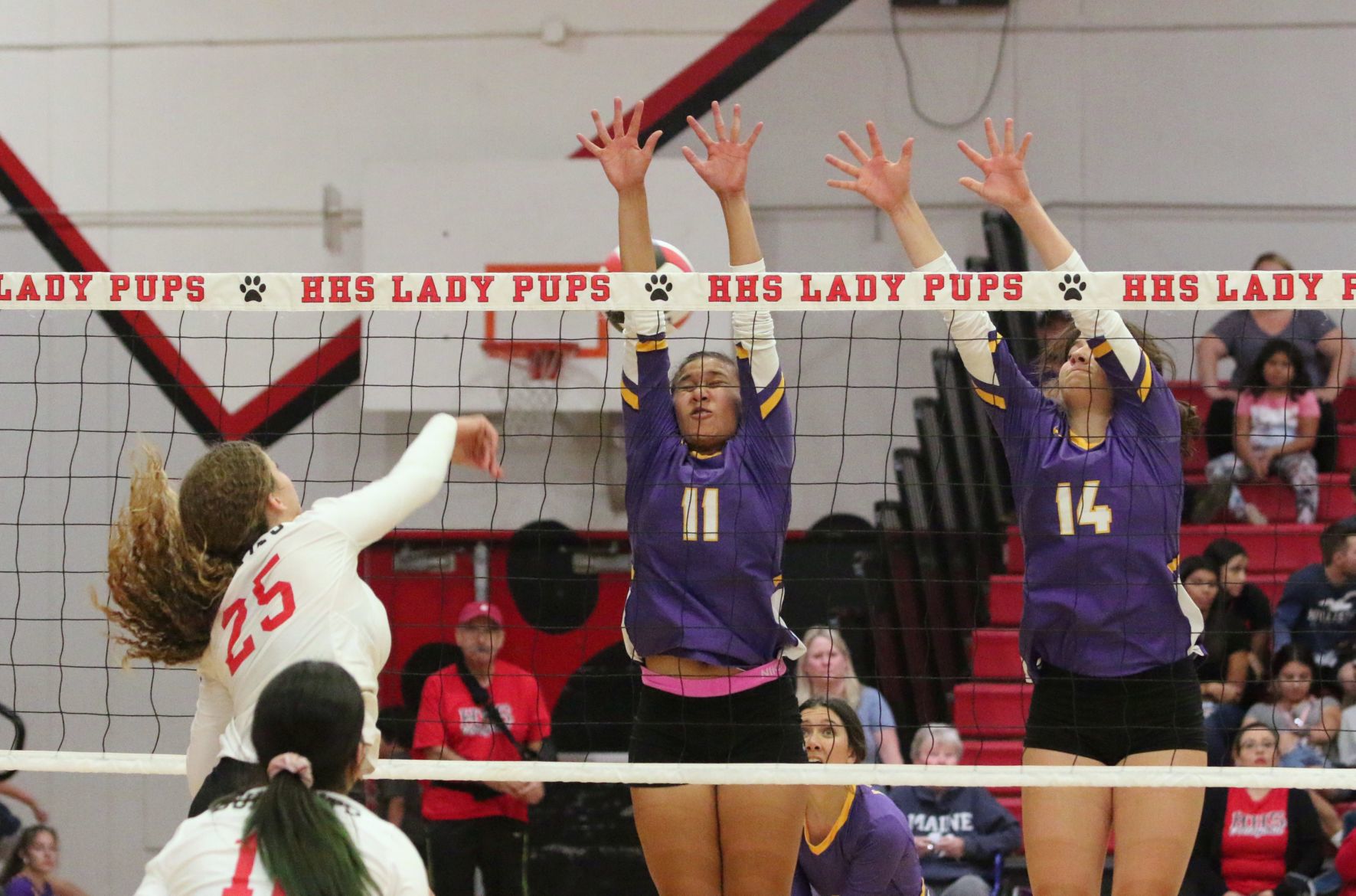 Bullpups claim victory over Tigers in thrilling season finale